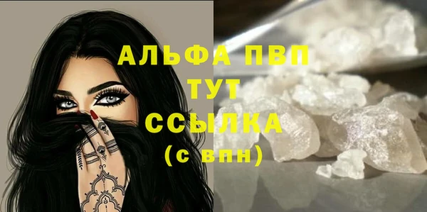 амф Горняк