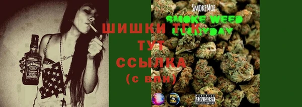 амф Горняк