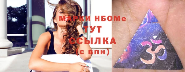 амф Горняк